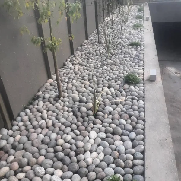 Bolon de Rio Proyecto Deco Oriente
